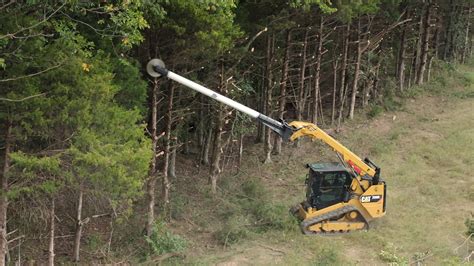 limb buster tree saw